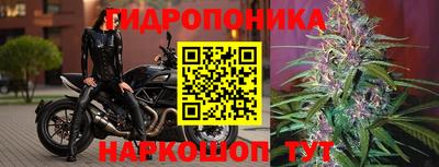 гашик Ипатово