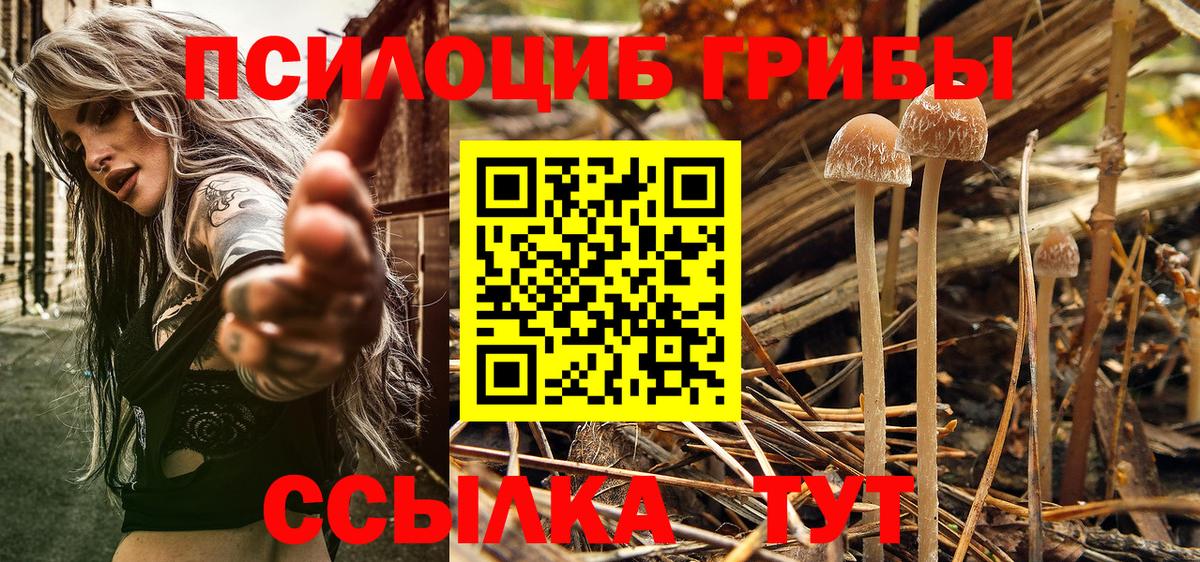 Малгобек  Псилоцибиновые грибы ЛСД  Галлюциногенные грибы прущие грибы  Вход с VPN 